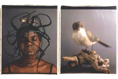 
	Nesting, detalhe da obra de Maria Magdalena Campos-Pons
