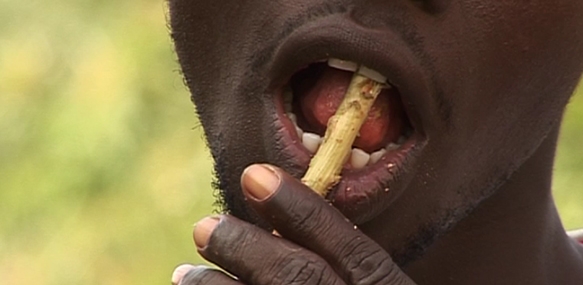 Les Feuilles d’un temps&nbsp;(2010) by Bakary Diallo


